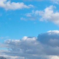 Dr Emily Bradfield (@erbradfield) 's Twitter Profile