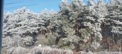 Zbignie77397720's profile picture. Męskimężczyzna