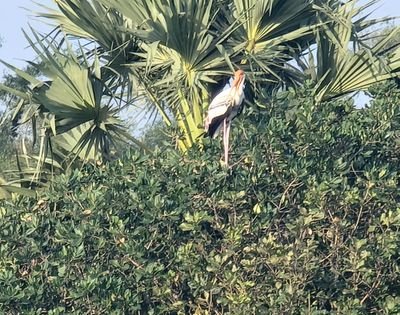 KannanSunderMur's profile picture. 