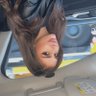 slivansarraf's profile picture. ♒︎