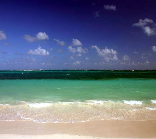 donnaLaRocco1's profile picture. 