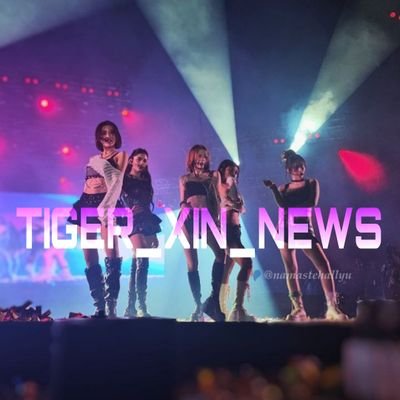 X:IN news channel of The Tiger Team |
A part of The Tiger Team and X:IN Tiger Streaming Team 🎉🐯