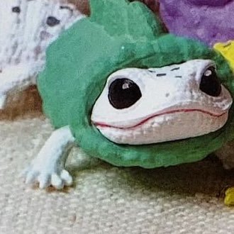 よもぎさんのプロフィール画像