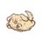 shino_kawaii215