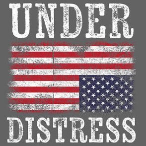 American Patriot fighting family since 1747 #IFB #FBR #BlueCrew #Resist 100% Pro-democracy, liberty and equality. NEVER TRUMP! Love America. Animal lover.