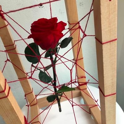 couple_dom_1's profile picture. Sadistic Couple.
husband 28, wife 28.
we are parents. 
we don't chat here we prefer telegram. 
we are not submissive, not cuck.
looking for genuine people only.