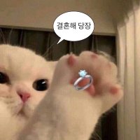 빵지 (@banggjiii) 's Twitter Profile Photo 빵지 (@banggjiii) 's Twitter Profile Photo