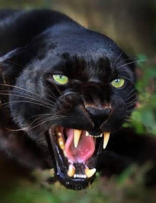 Erre15822's profile picture. How you do something, is how you do everything.