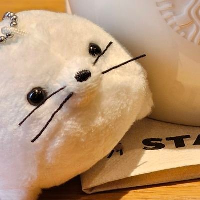 およげあざらしくんさんのプロフィール画像