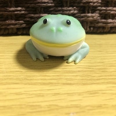 木ノ衛ちょむ(きのもり　ちょむ)さんのプロフィール画像