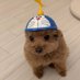 eq (@lebonzeq) Twitter profile photo eq (@lebonzeq) Twitter profile photo