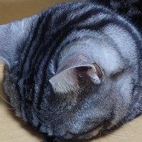 rockstar (@mizuki4582) 's Twitter Profile