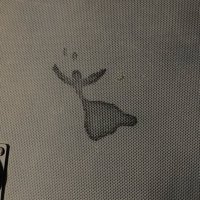 ネオ (@archdback) 's Twitter Profile