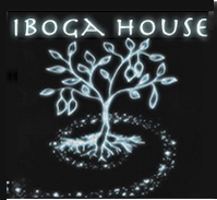 Iboga House is a licensed center in Costa Rica offering natural detox, soul-finding, & spiritual awakening.
