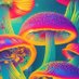 Mushroom Organic (@mushrooms421) Twitter profile photo Mushroom Organic (@mushrooms421) Twitter profile photo
