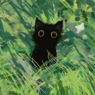 kmrankitt's profile picture. wq! me