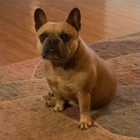 kmo (@kmo10508) 's Twitter Profile