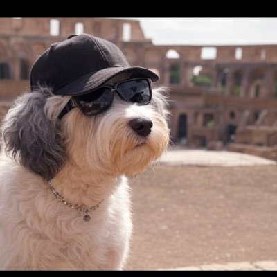 LostBassGuitar's profile picture. American family man. I’ve got an amazing wife and two phenomenal kids, a  very sleepy dog, and high hopes for the redemption of the American Spirit.