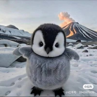 🐧