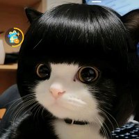 けいいち☆彡 (@ki_kirimura) 's Twitter Profile