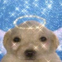h (@keqhfor) 's Twitter Profile Photo