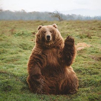 ChaseRockySkye's profile picture. 