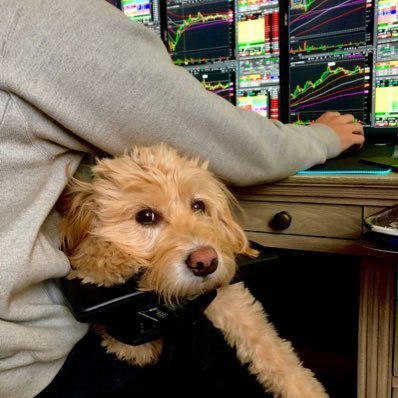 RealSimpleAri's profile picture. Day trader turned swing trader. Here to help others get their shit together. Follow along on Twitch #FILLTHEPOT