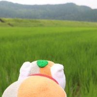 真理奈 (@dikuraruhaito) 's Twitter Profile Photo 真理奈 (@dikuraruhaito) 's Twitter Profile Photo
