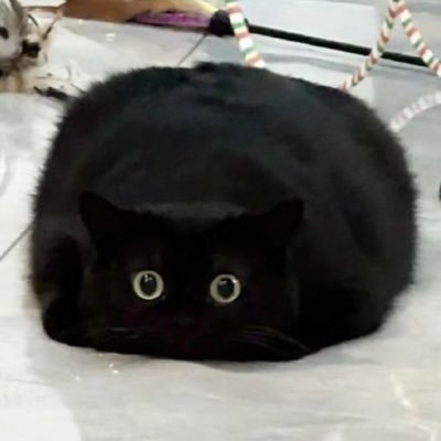 Yuki1122344567's profile picture. Hello