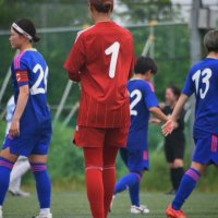 ほな (@zelvia_1) 's Twitter Profile