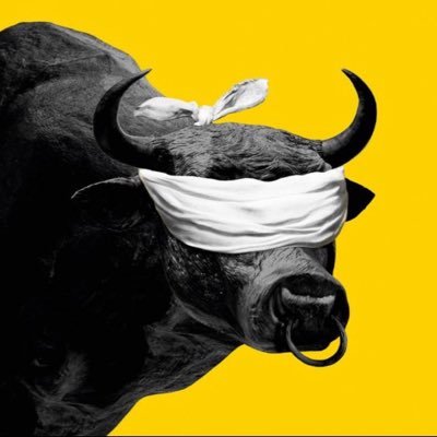 DYatirimcisi's profile picture. Doğru hisse , doğru zaman… Kuştan taş , taştan kuş olmaz…