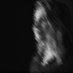 ุฏุงููุง. (@_da1ia) Twitter profile photo ุฏุงููุง. (@_da1ia) Twitter profile photo