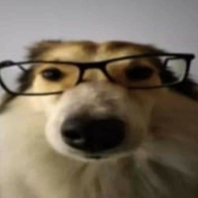 개さんのプロフィール画像