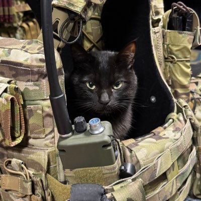 hiro_gimlet's profile picture. オーディオ DAP（SONY NW-WM1A / NW-ZX300）イヤホン（SONY IER-M9 Q  etc...）
ピスト、シクロ乗り(AFFINITY LO PRO / ALL-CITY MACHO MAN)。
マルイガスブロM4で十年ぶりのサバゲ復活。現在はVFC製GBBがメイン。Δ装備収集中。