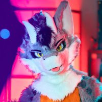 Lennox (@lennox_d_lizard) 's Twitter Profile