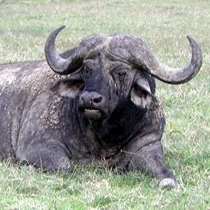 simoltene767's profile picture. 高3/物化/京大理志望