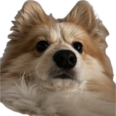 パルメザンチーズさんのプロフィール画像