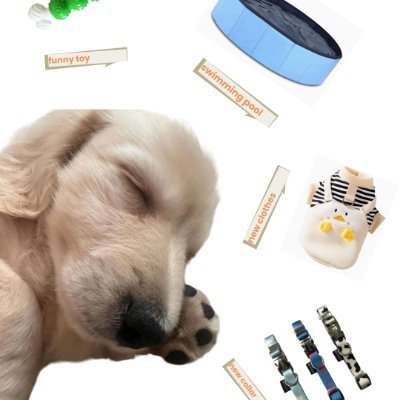 ToyKenny's profile picture. Pet & People,love pet,love life