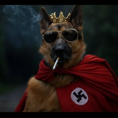 Swift_Experince's profile picture. Youtuber/Quickscoper