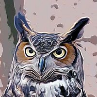 Uncle SA π #WEXIT (@spin_assassin) 's Twitter Profile