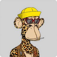 Jack & Jackie 🇦🇷 (@jackj50028) 's Twitter Profile