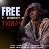 ዓደይ Adeye (@adeyadeye) 's Twitter Profile