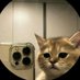 atlas. (@make_a_donut) Twitter profile photo atlas. (@make_a_donut) Twitter profile photo