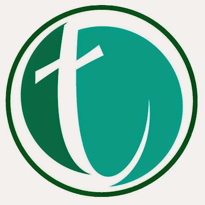 Tectoolsmp's profile picture. 