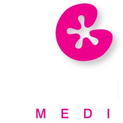 oddsocx's profile picture. Researcher for Salamanda Media