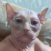 LSDXOXO (@lsdxoxo_) 's Twitter Profile