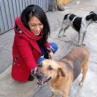 Wanan Olmedo (@srawanan) 's Twitter Profile Photo