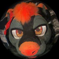 ᴏʀᴀɴɢᴇ ✨ (@archerwoofi) 's Twitter Profile