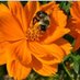 Ethos Farm to Health & Ethos Primary Care (@ethosprimary) Twitter profile photo Ethos Farm to Health & Ethos Primary Care (@ethosprimary) Twitter profile photo