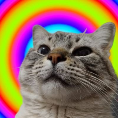 Cueva_de_Faku's profile picture. Atados a este caos que no entiende nadie má'
Vos ya tendrás en claro con qué fuego te quemás